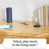 Amazon Echo Input