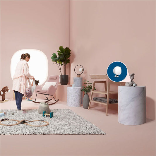 Ecobee Smart Thermostat with Voice Control, Black EB-STATE5-01