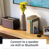 Amazon Echo Input