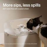 PETLIBRO RFID Multi Cats Water Fountain with Cat Recognition &amp; Hydration Monitoring, Pump-Free Auto Cat Water Dispenser, 101oz/3L, 2.4G Wi-Fi APP Control x2 Collar Tags