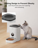 PETLIBRO Automatic Cat Feeders, Cat Food Dispenser with Customize Feeding Schedule, Timed Cat Feeder with Interactive Voice Recorder - 4 liter