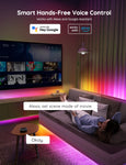 Govee RGBIC LED Strip Lights for Bedroom, Smart LED Strip Lights Alexa Compatible, DIY Multiple Colors on One Line, Color Changing LED Lights Music Sync, Festival Decoration - 65.6ft