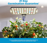 AeroGarden Harvest Lite in Black, Soil-Free Indoor Hydroponic Garden with LED Grow Light for Year-Round Gardening of up to 6 Herbs and Vegetables