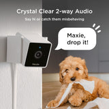 Petcube Cam Indoor Wi-Fi Pet and Security Camera with Phone App, Pet Monitor with 2-Way Audio and Video, Night Vision