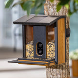 Evergreen Solar Smart Bird Feeder