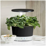 aerogarden harvest indoor garden with gourmet herb seed pod kit AeroGarden - Harvest 360 with Gourmet Herb Seed Pod Kit