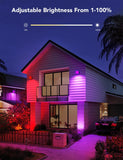 Govee Outdoor Lights, Flood Lights, Smart Color Changing IP65 Waterproof, 2 Pack