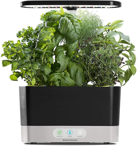 AeroGarden Harvest - With Heirloom Salad Greens Pod Kit (6-Pod) Model - 100690-BLK