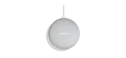 Google Nest Mini
